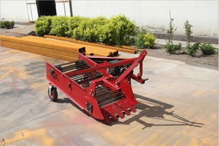 地瓜杀秧机与花生土豆收获机 拖拉机带动的高效施肥与收获一体化机械